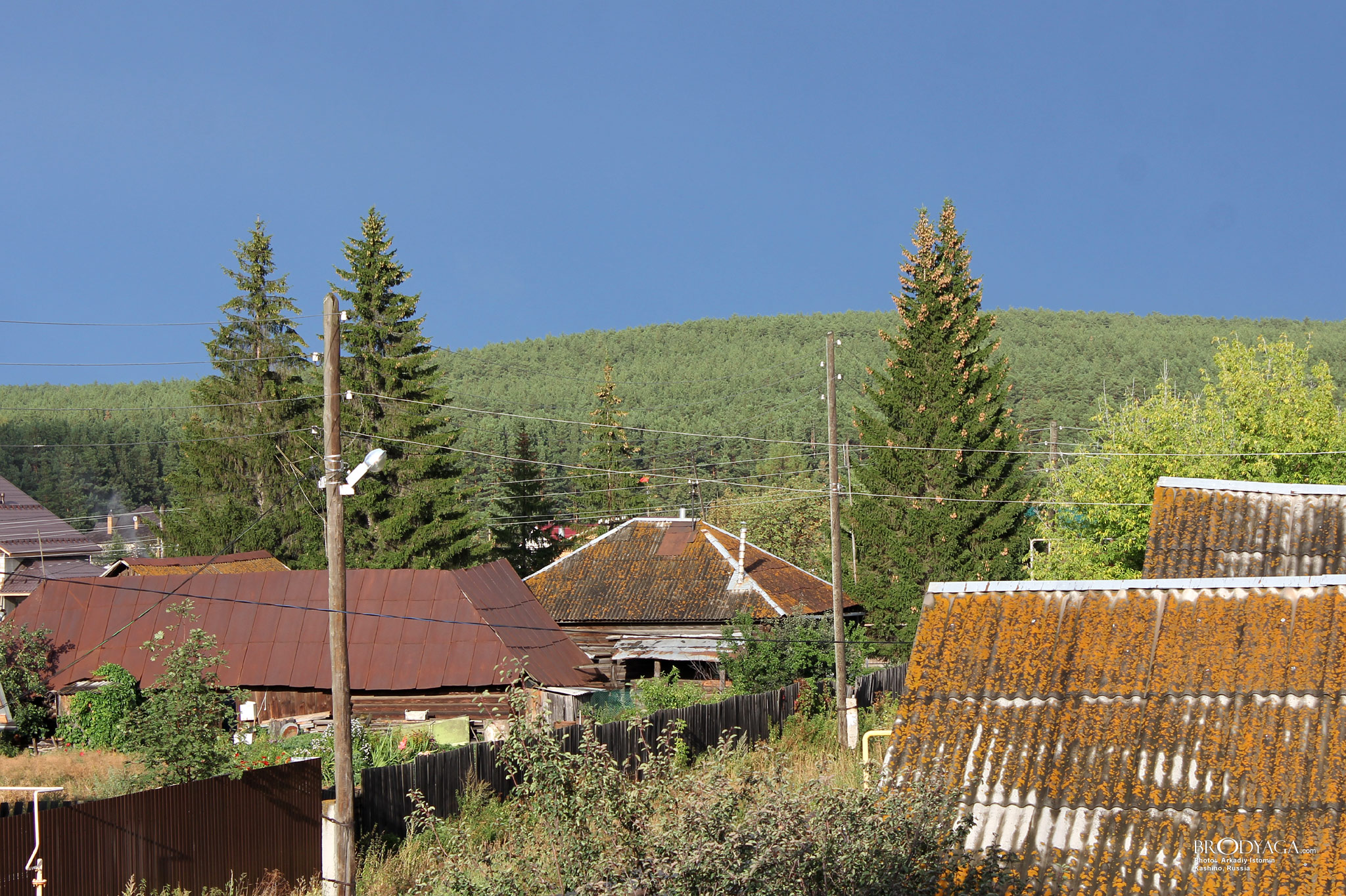 Kashino (Кашино)